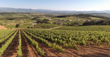 De ruta de vinos por el Bierzo